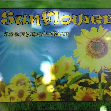 Sunflower Accommodation Ljubljana Exterior photo