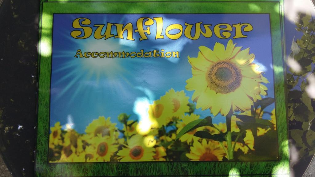 Sunflower Accommodation Ljubljana Exterior photo